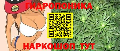 apvp Жуковский