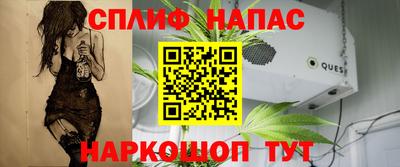 spice Заводоуковск